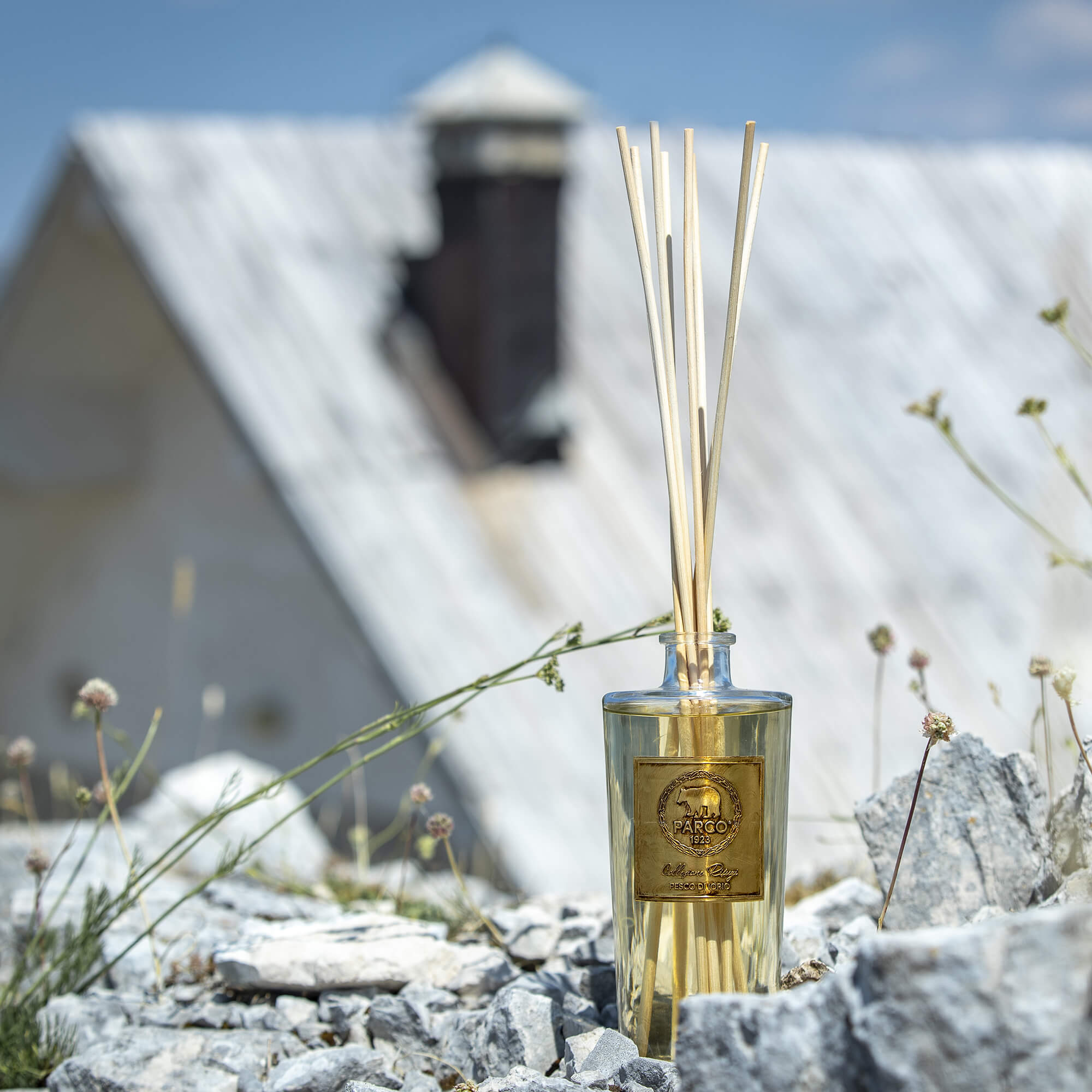 Pesco di Lorio Diffuser 500ml