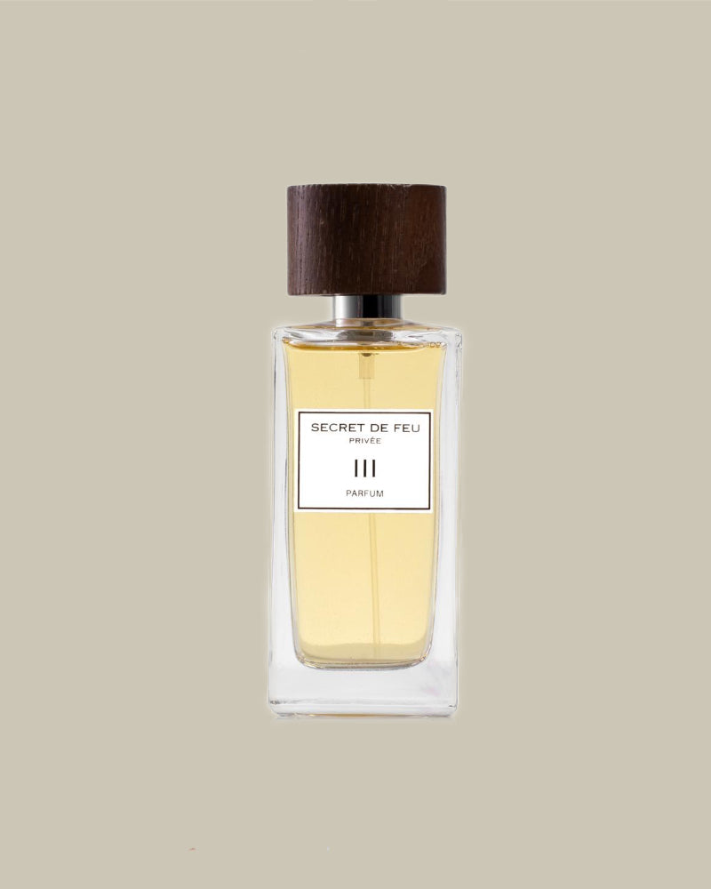 SECRET DE FEU III