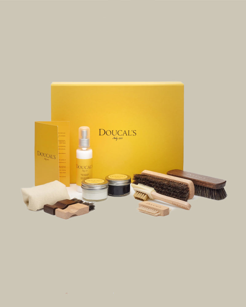 Shoe Care Kit