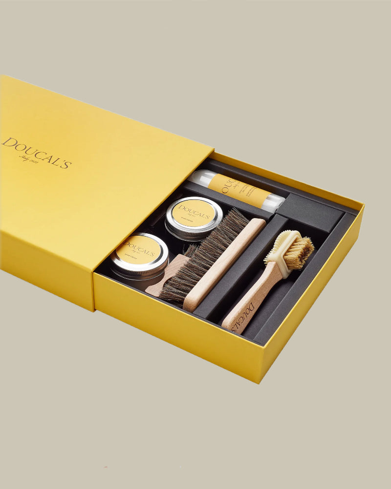 Shoe Care Kit