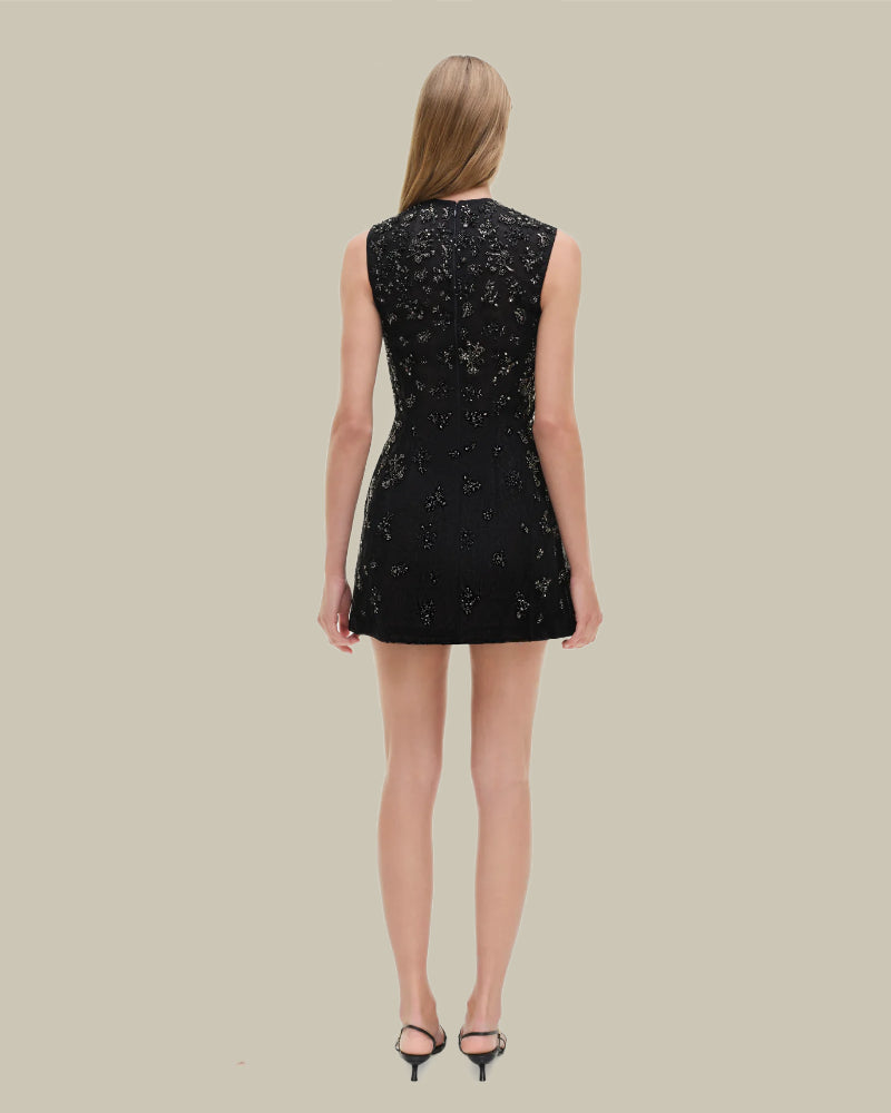 Evelina Embellished Lace Mini Dress