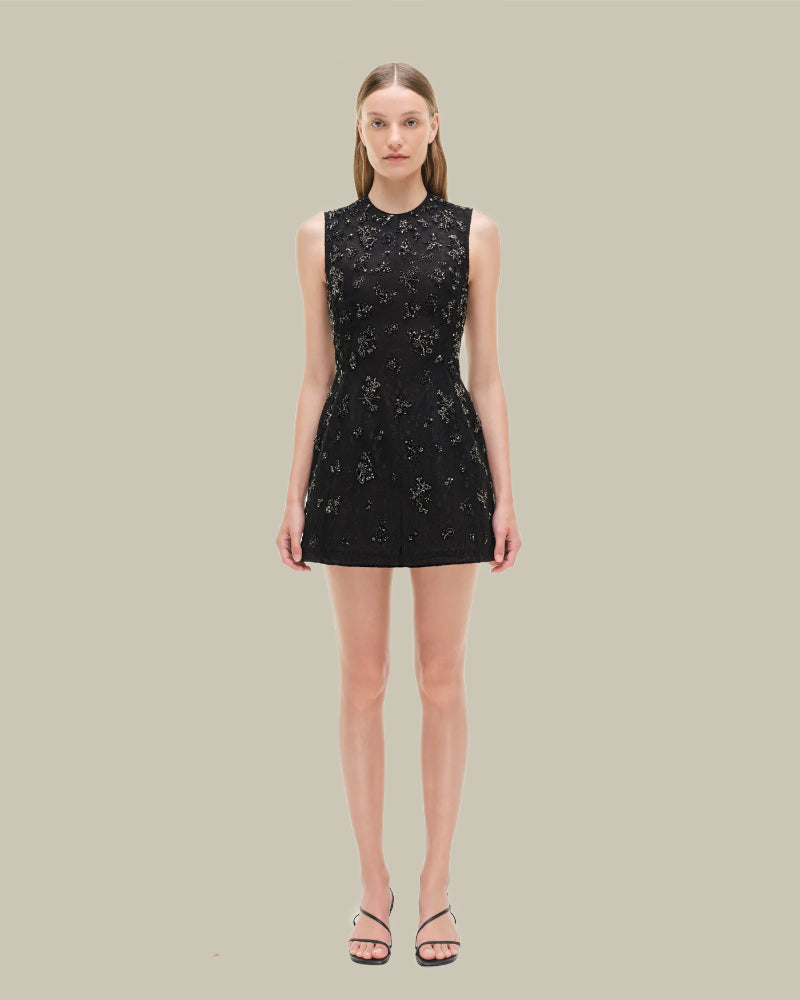 Evelina Embellished Lace Mini Dress