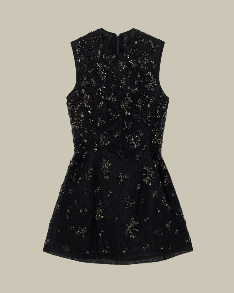 Evelina Embellished Lace Mini Dress