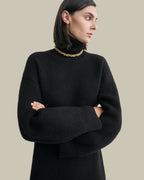 Broad Turtleneck Dress Black