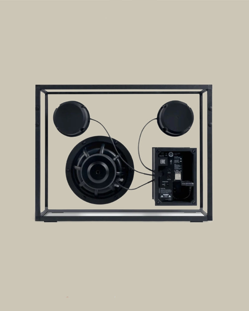 Transparent Speaker